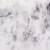 Coyote / D. Winter, Reversible